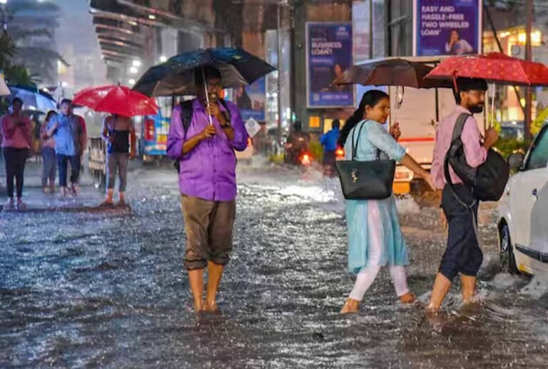 rain_A_36_6-1.jpg
