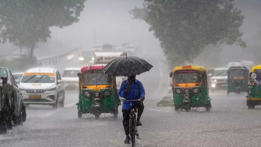 rain_A_53_1-7.jpg