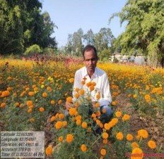 CG : उद्यान विभाग की योजना का लाभ उठाकर राज्य के किसान हो रहे आर्थिक सशक्त