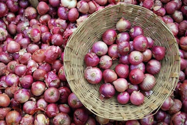onion_7_4.jpg