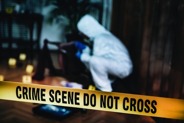 20241115143621_crime scene