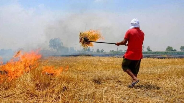 kisan-2.jpg