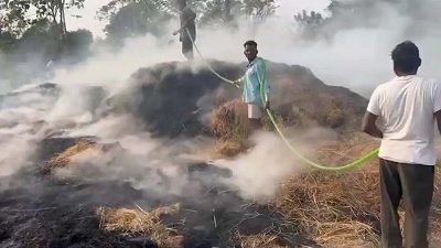 20241222110159_jaspur