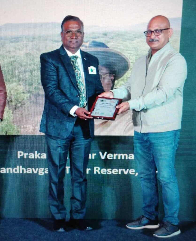 award.jpg