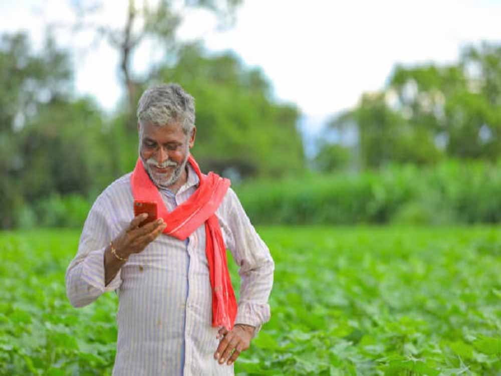kisan-8.jpg