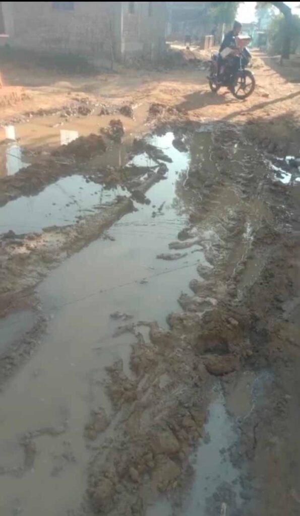 pani.jpg
