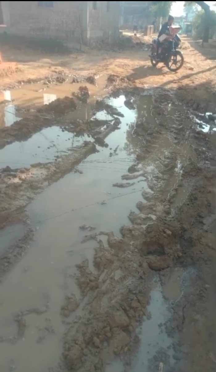pani.jpg