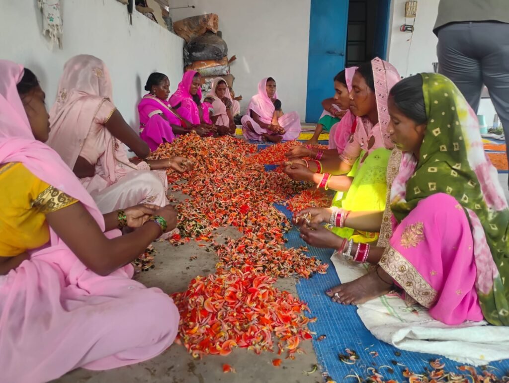 छुरिया : हरियाली बहिनी पलास के फूलों से रंग-गुलाल बनाने प्रशिक्षण