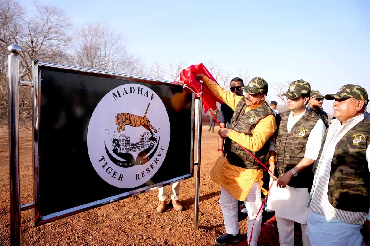madhav_tiger.jpg