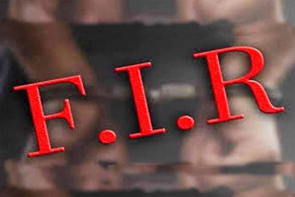 fir.jpg