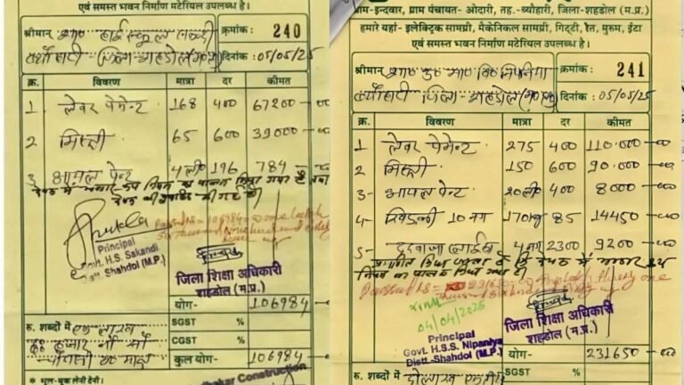 Scam in Government High School Sankadi of Byawari