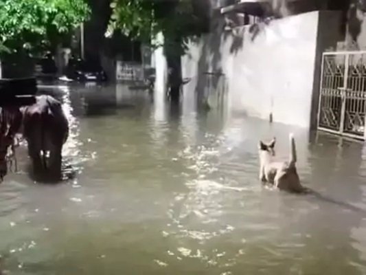 20250817114719_jj