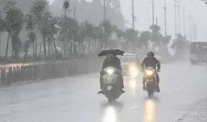 barish-15.jpg