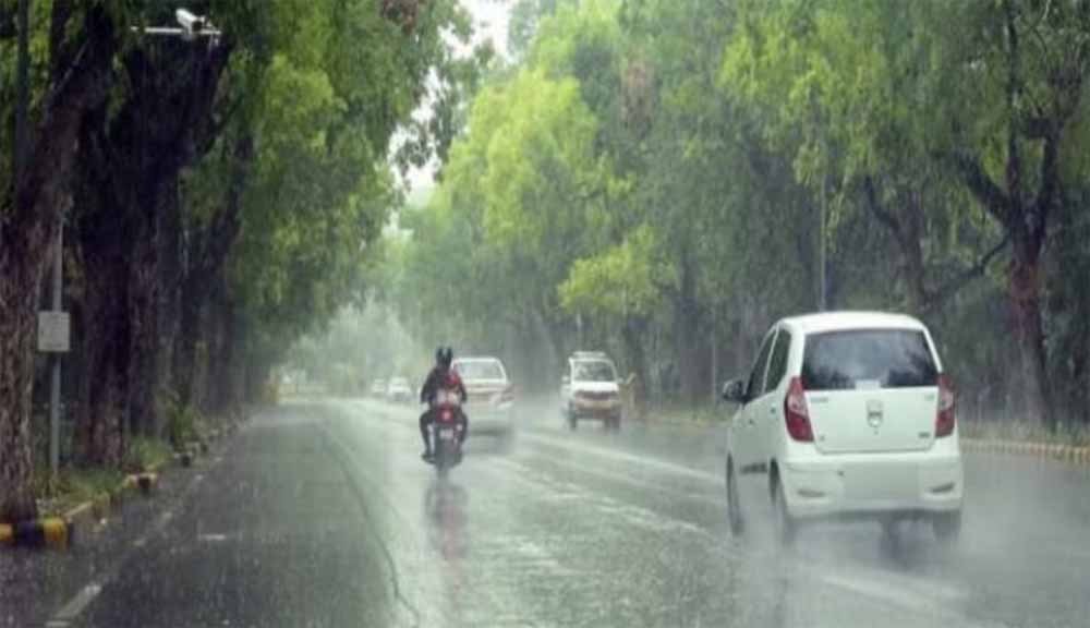 barish8-8.jpg