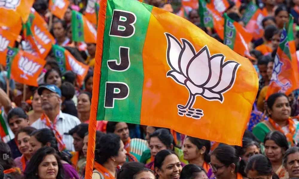 bjp1-1.jpg