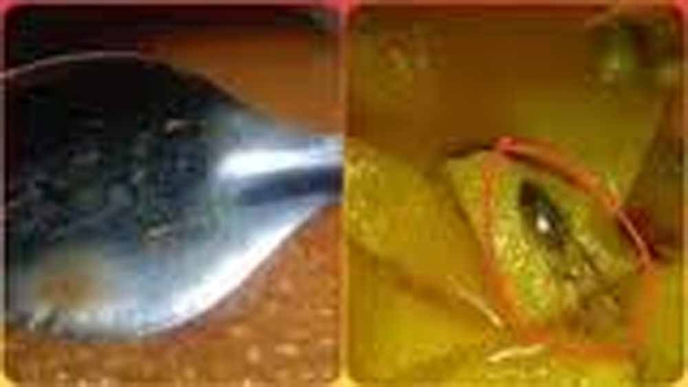 daal1-1.jpg