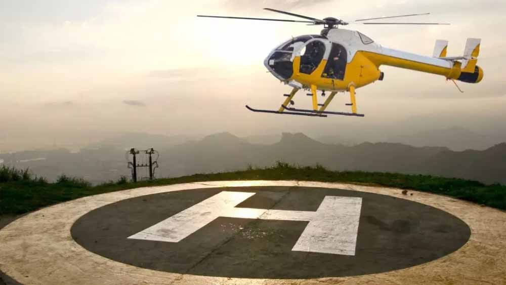 heliped1.jpg
