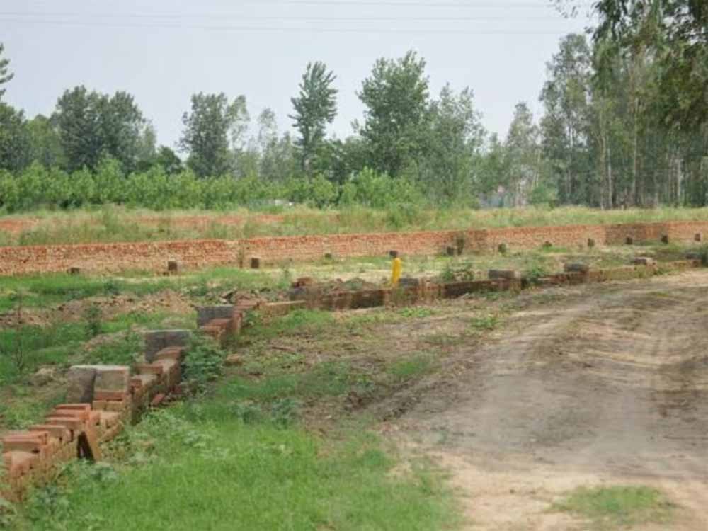 land1.jpg