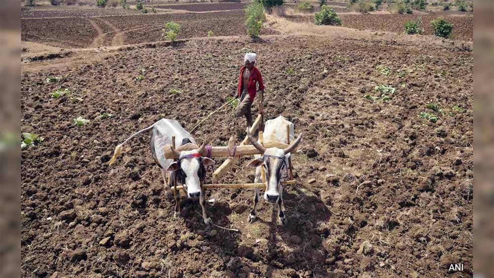 kisan1-2.jpg