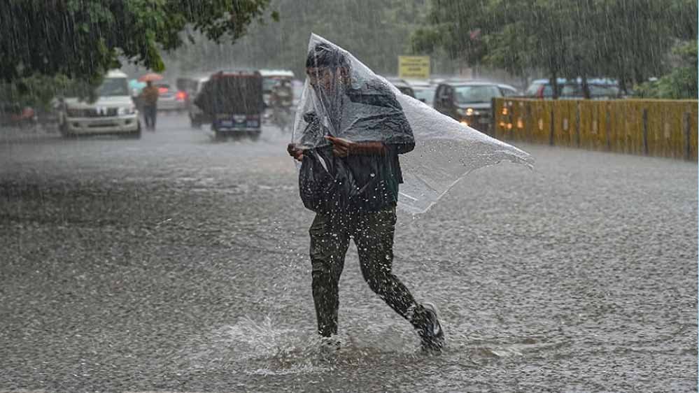 rain_A_52_1-2.jpg