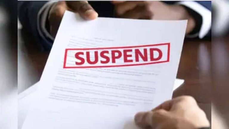 suspended1.jpg