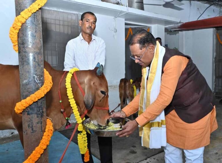 cow1-1.jpg