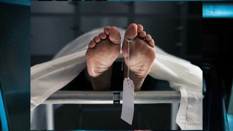 dead_2_3.jpg