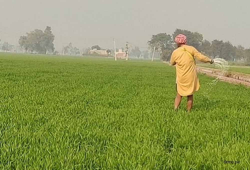 kisan1-4.jpg