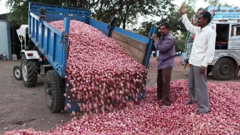 mandi1.jpg