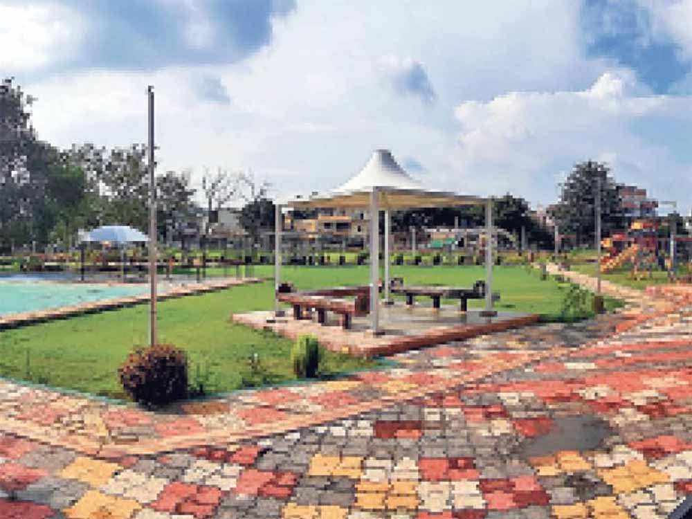 patel_park.jpg