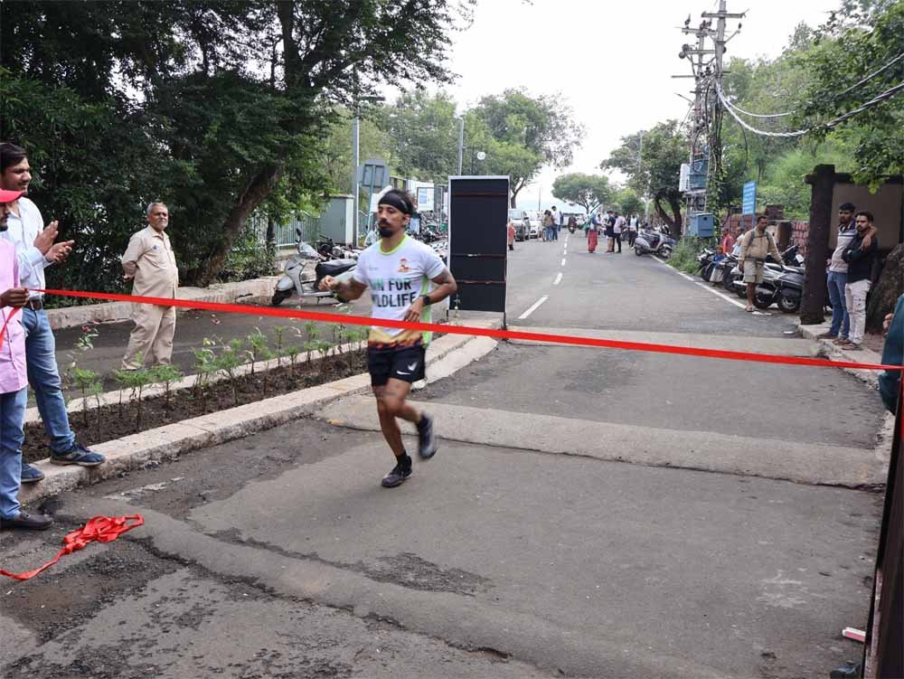 run1.jpg