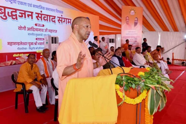 yogi2-7.jpg
