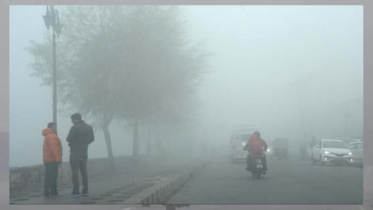 21_A51.jpg