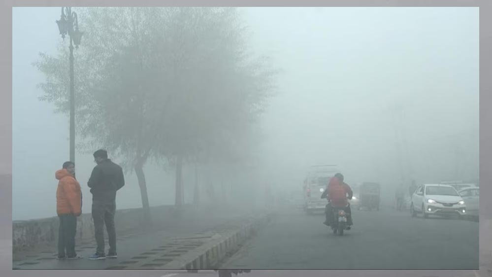 21_A51.jpg