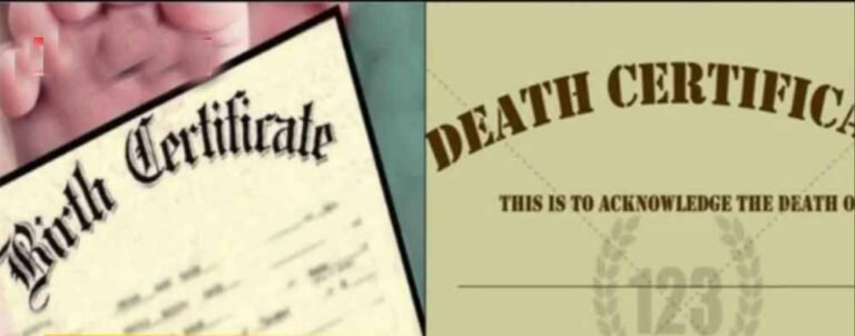certificat.jpg