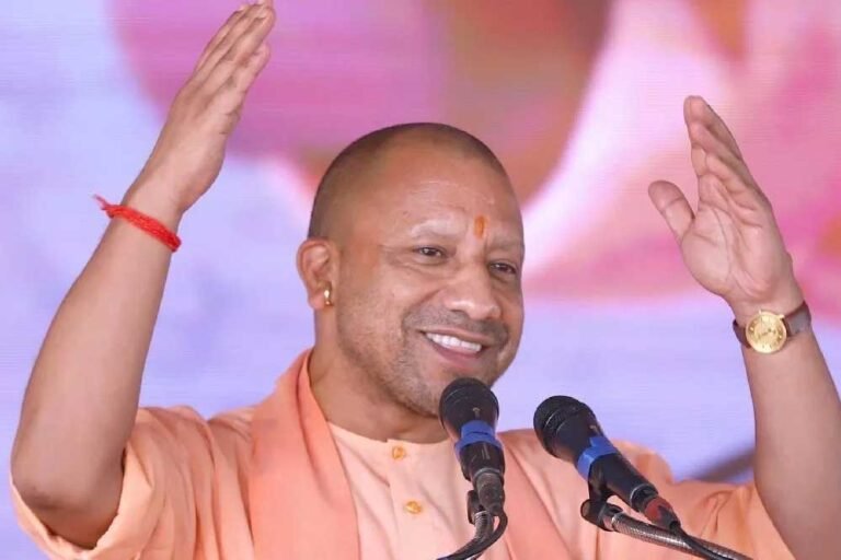 yogi_A_116.jpg