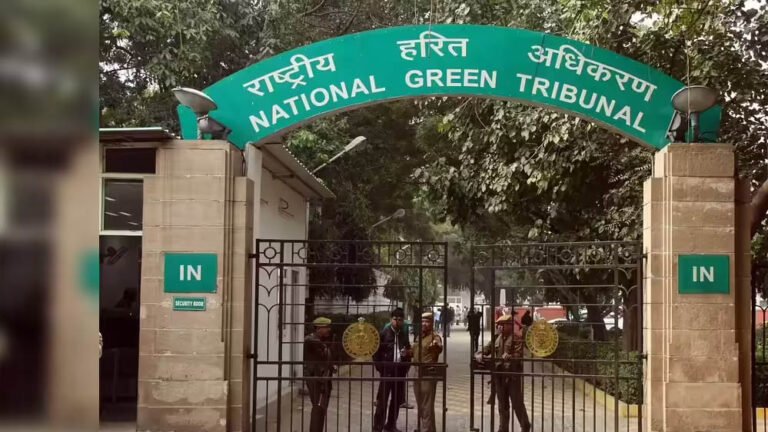 8A_37.jpg