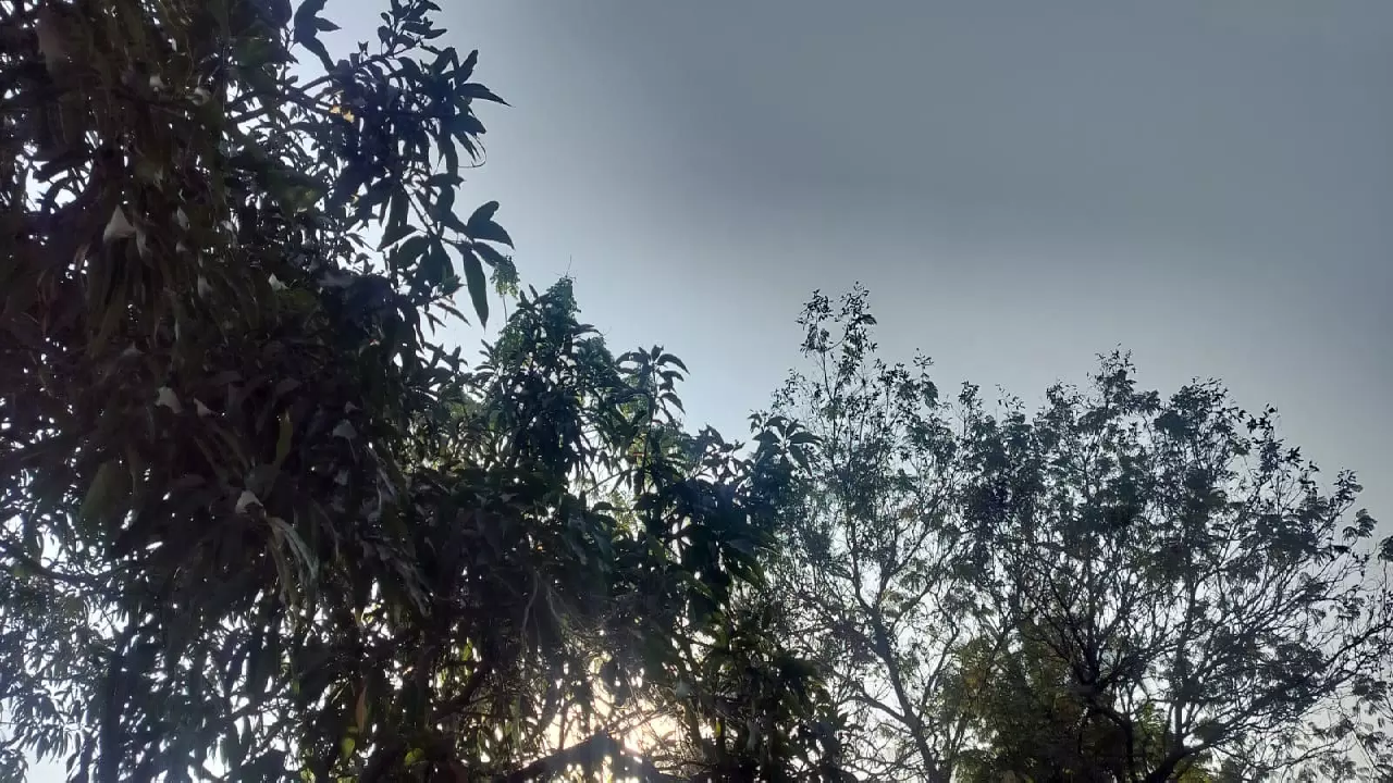 DH