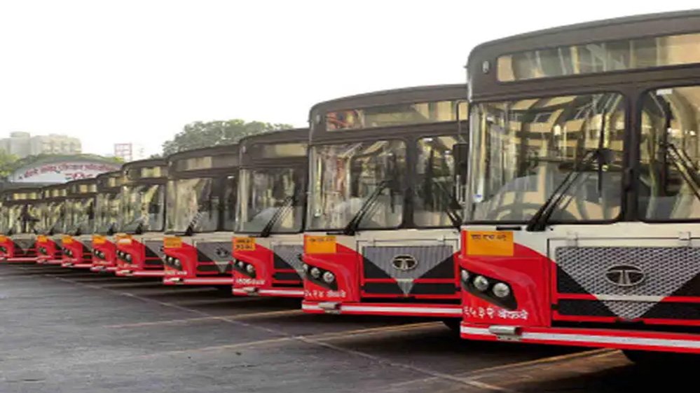 bus_81_1-1.jpg