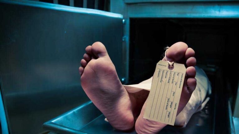 dead_2_2.jpg