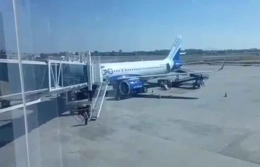 indigo.jpg