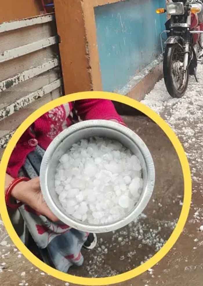ola1.jpg