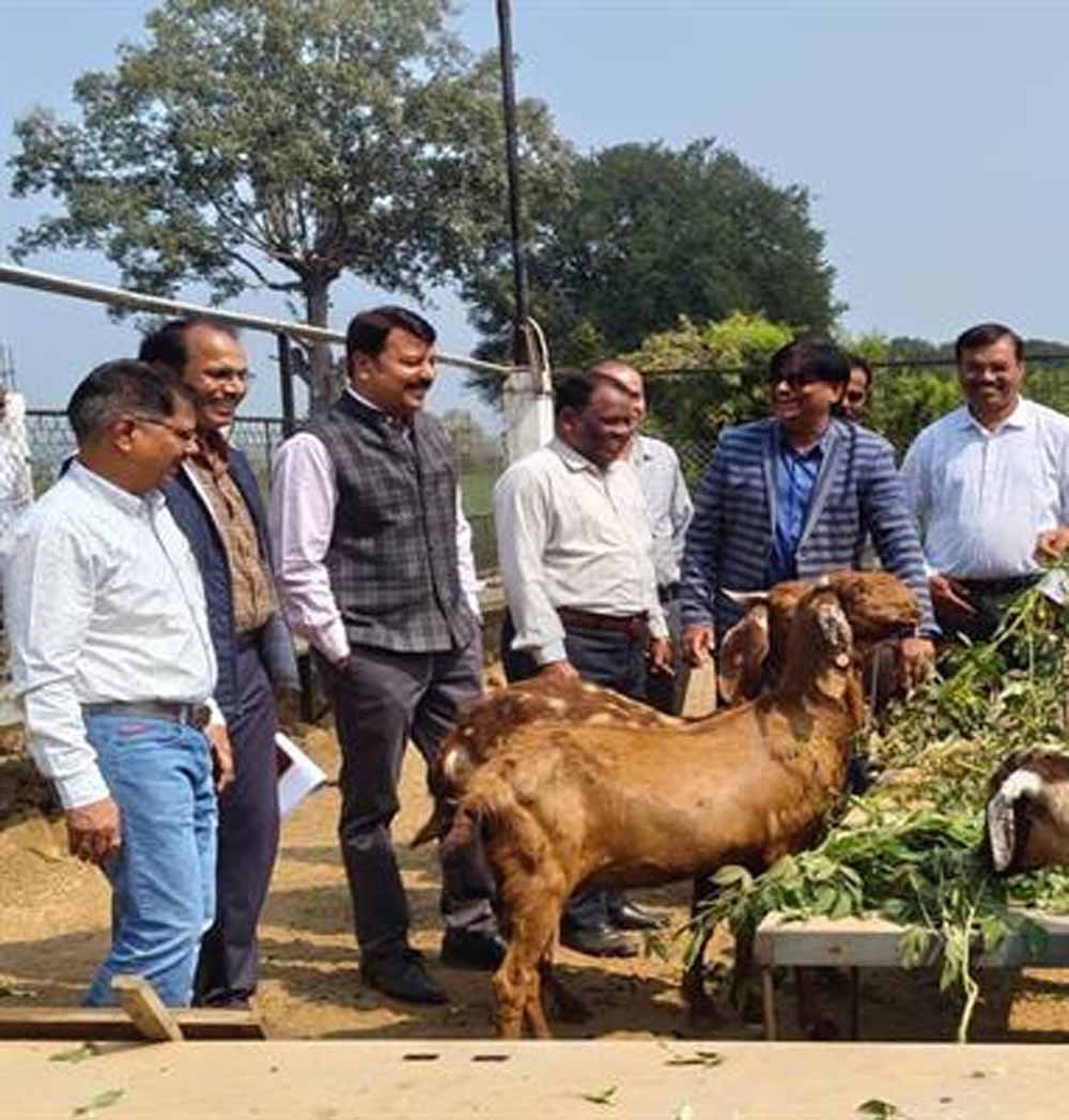 Bakri_02.jpg