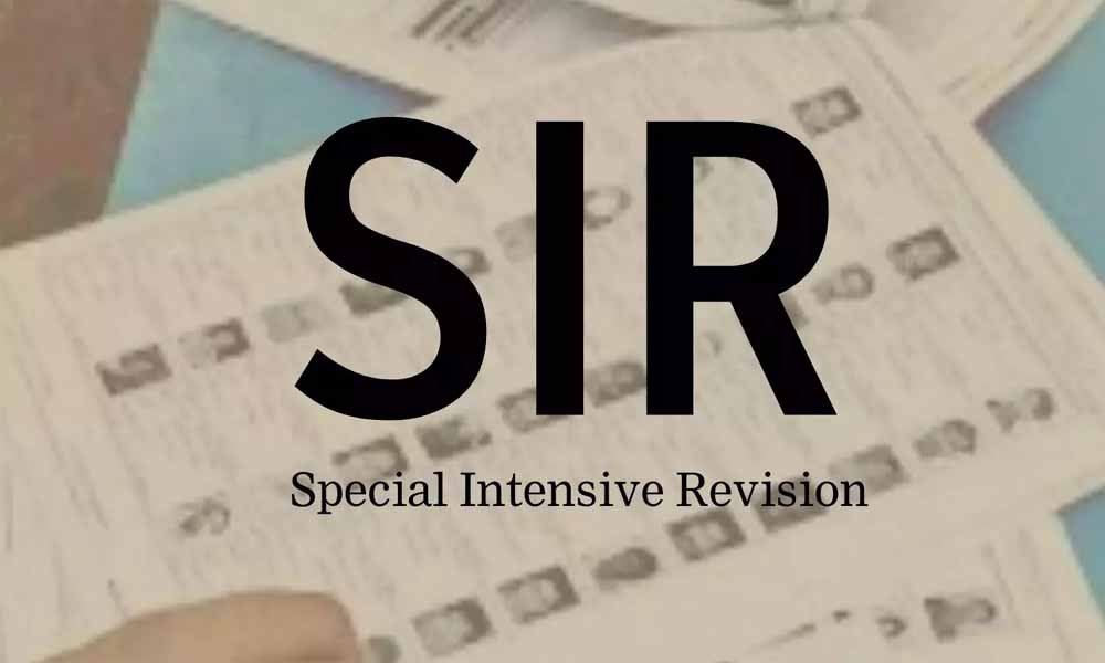 Sir_03.jpg