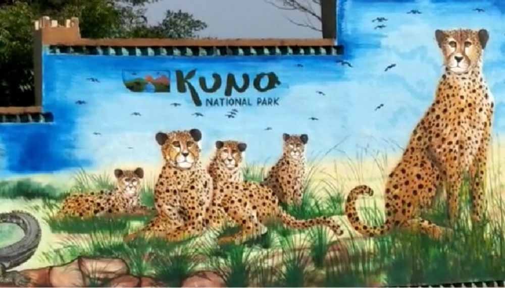 kuno_01-2.jpg