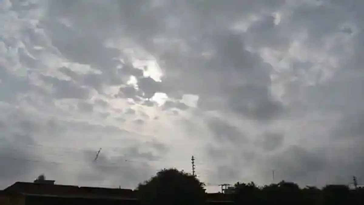 mosam1-3.jpg