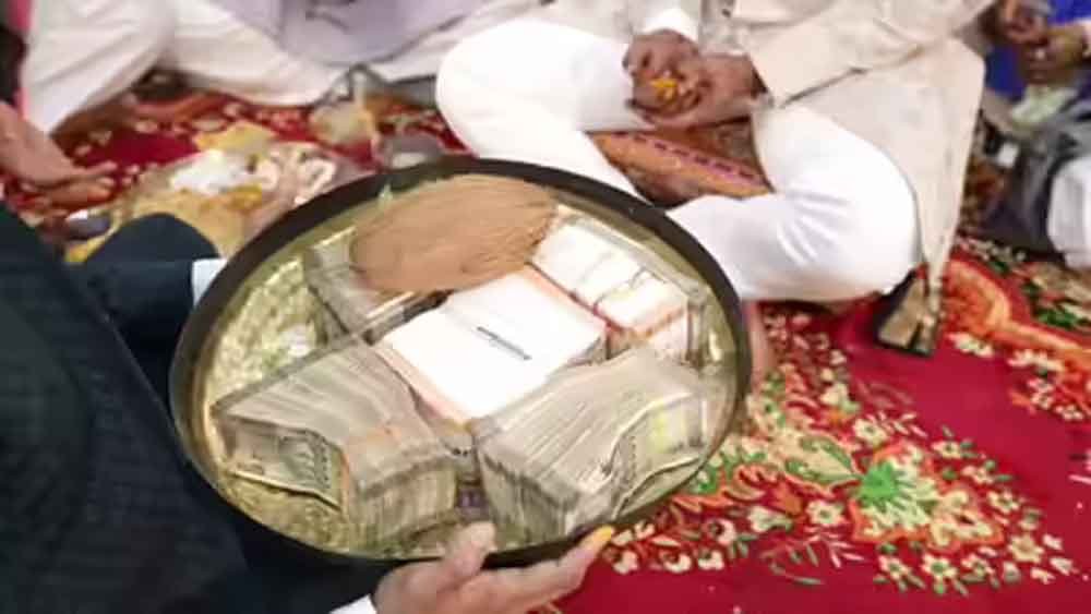 shadi1.jpg