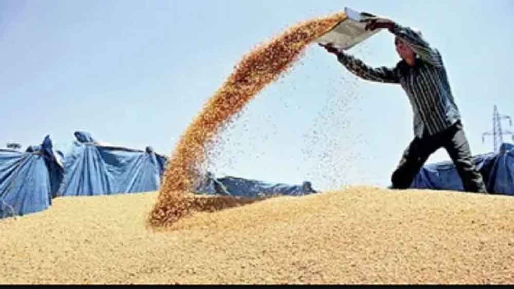 wheet1.jpg