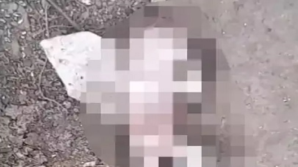 01