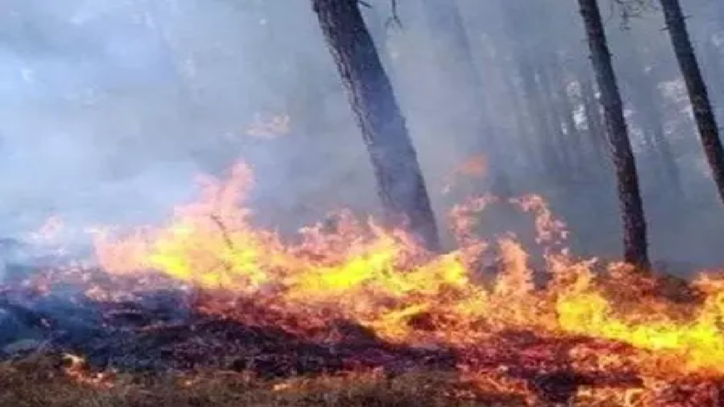 AAAA